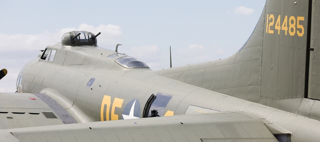  - Warbird