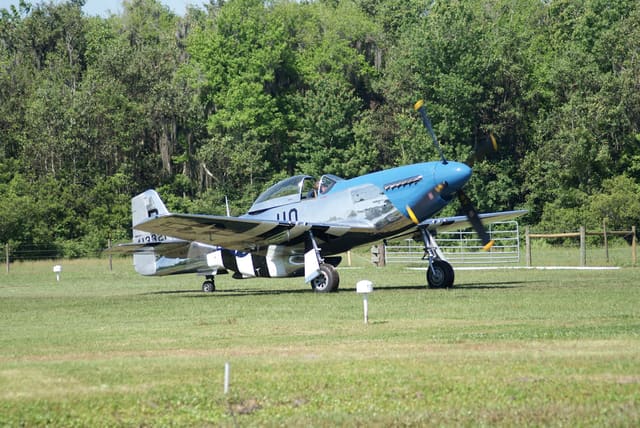  - Warbird