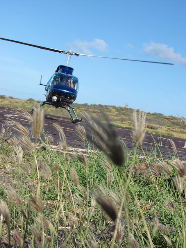 N6651H - Helicopter