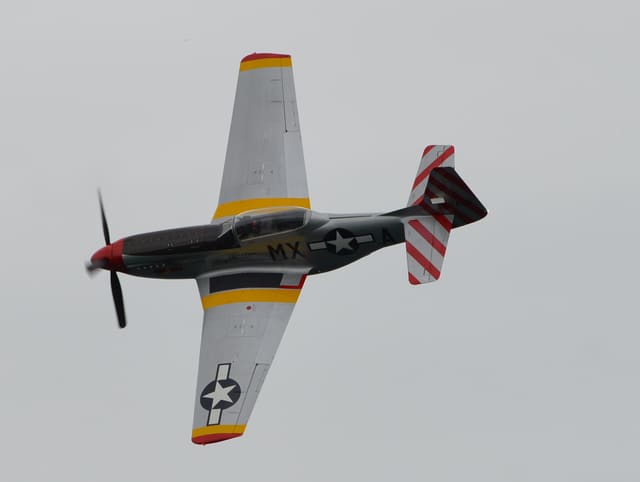  - Warbird