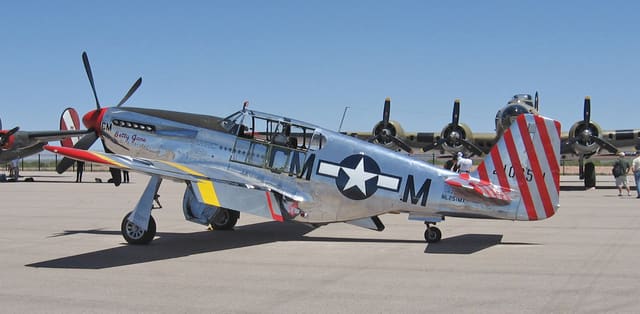 N251MX - Warbird