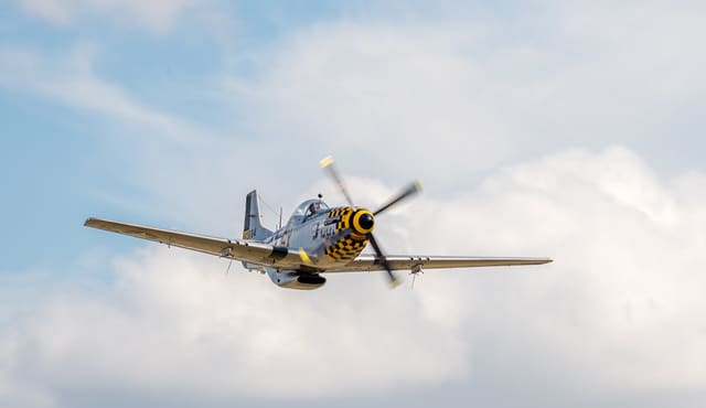  - Warbird