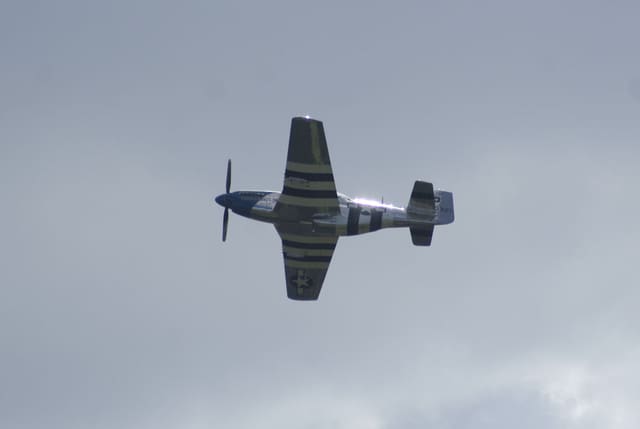  - Warbird