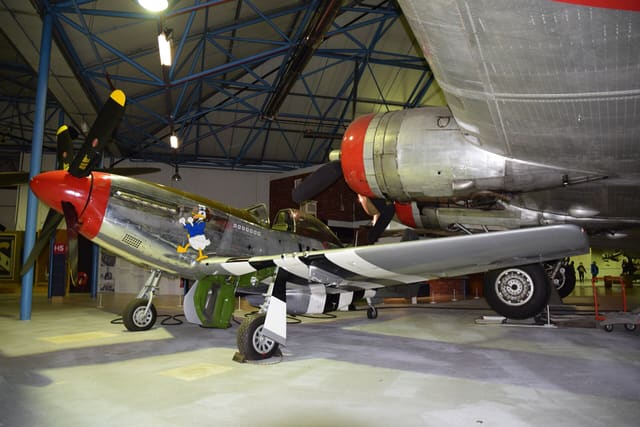  - Warbird