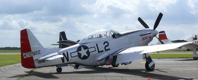  - Warbird