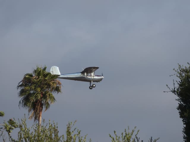 N2293N - Single-engine aircraft