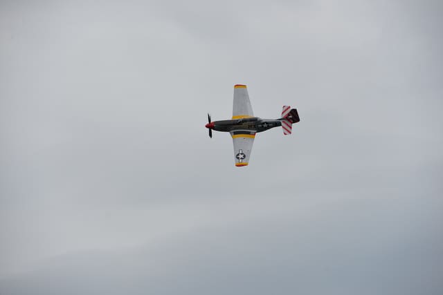  - Warbird