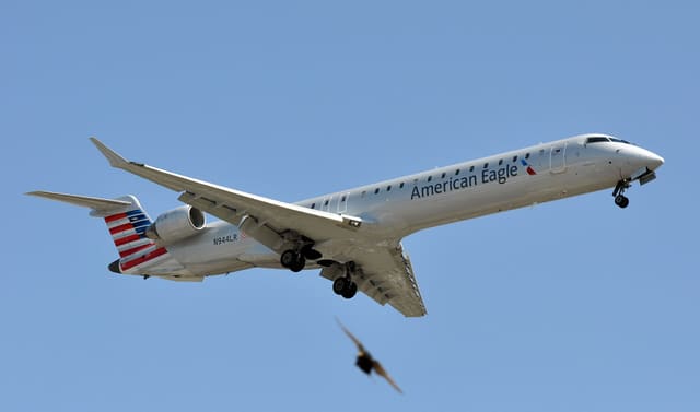 N944LR - Aircraft