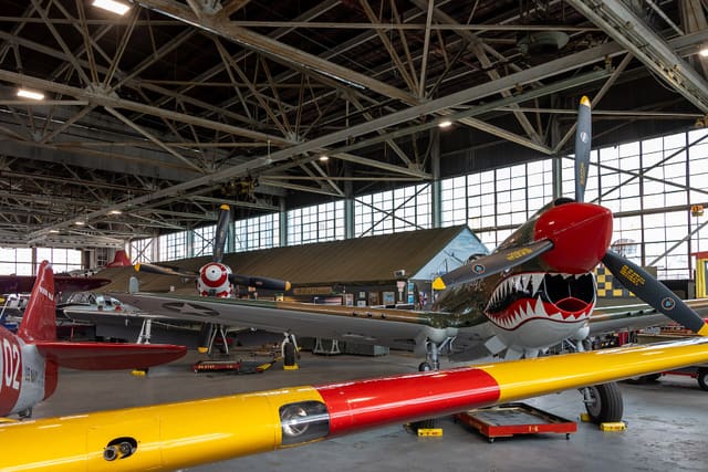 N1232N - Warbird