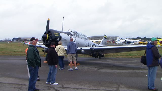 N190FS - Warbird