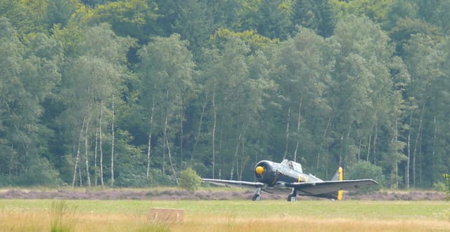 N13FY - Warbird