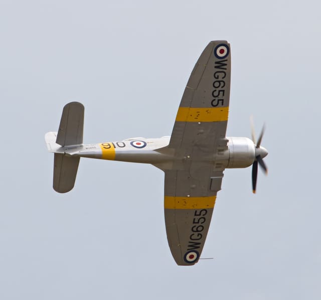  - Warbird