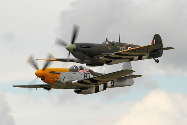  - Warbird