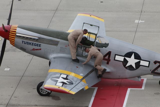  - Warbird