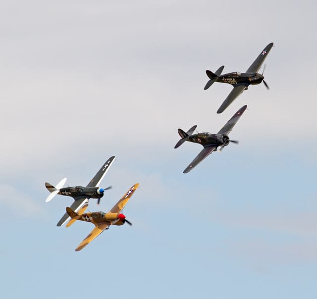  - Warbird