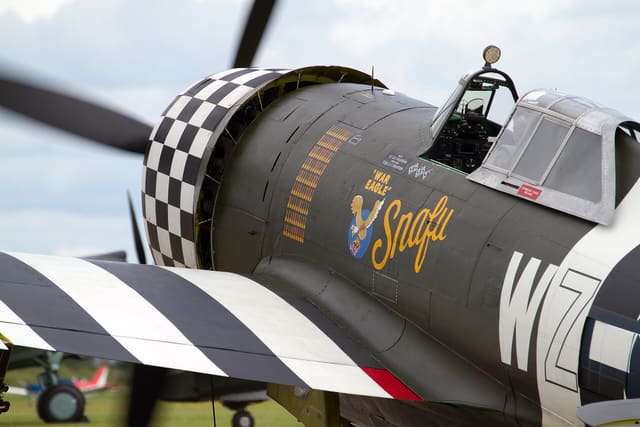  - Warbird