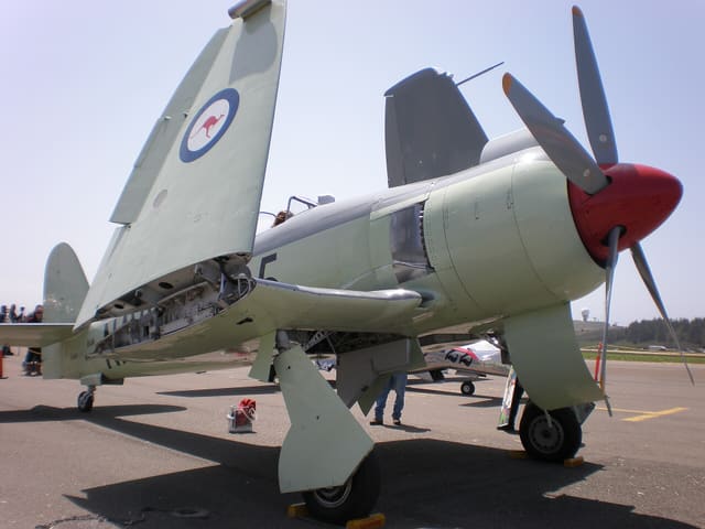  - Warbird