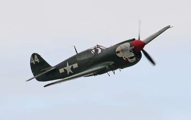  - Warbird