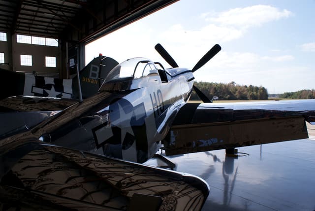  - Warbird