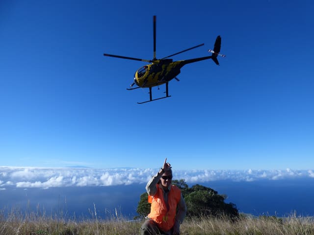 N58251 - Helicopter