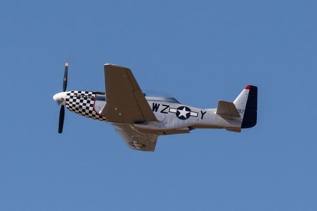  - Warbird