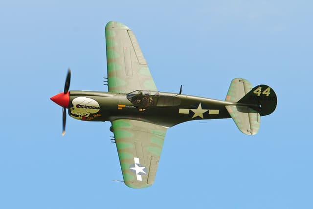  - Warbird