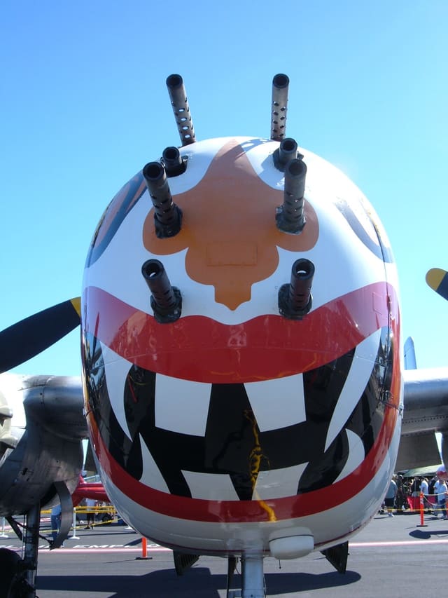  - Warbird