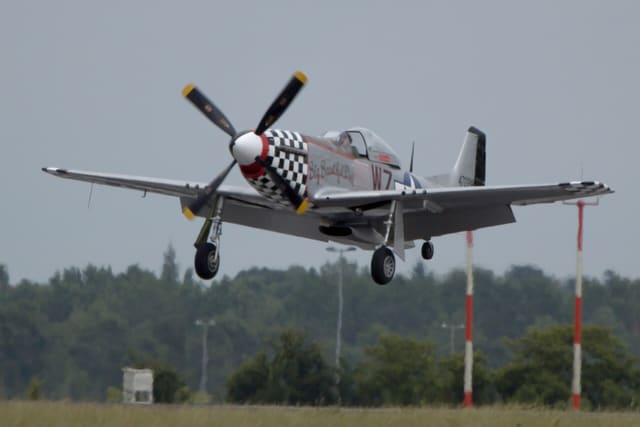  - Warbird