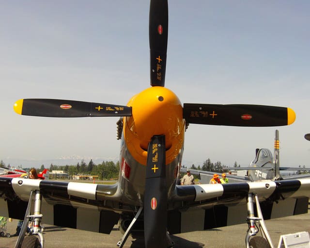 N5087F - Warbird