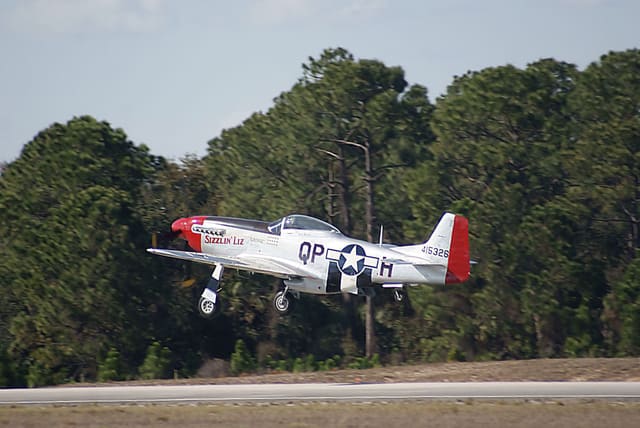  - Warbird