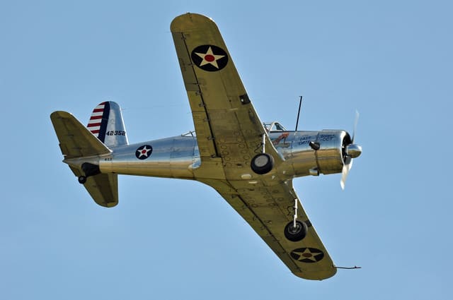 N93 - Warbird