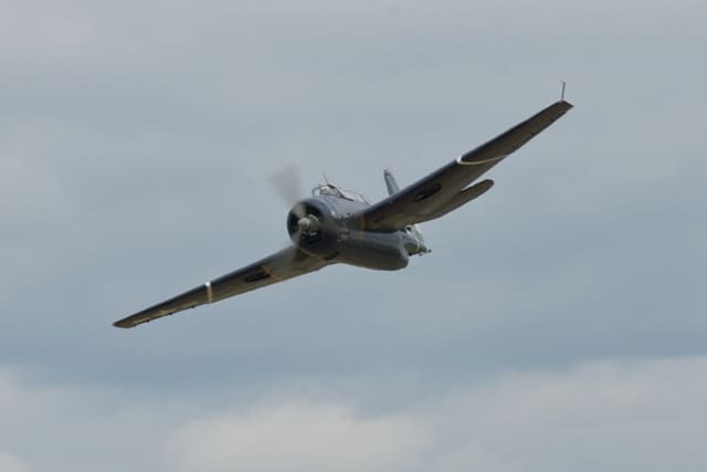 N81865 - Single-engine aircraft