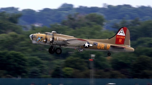  - Warbird