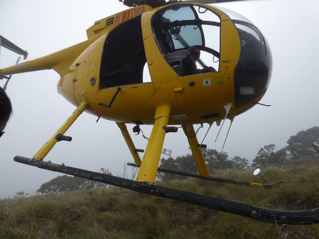 N811WA - Helicopter