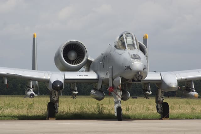  - Warbird