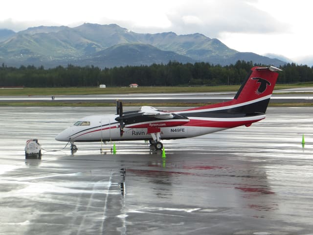 N49FE - De Havilland