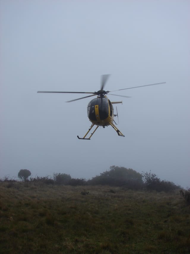 N58251 - Helicopter