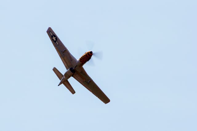  - Warbird