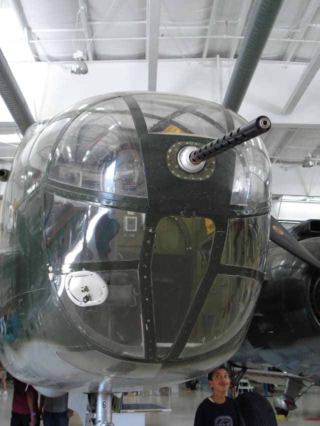  - Warbird
