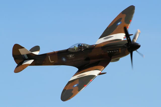  - Warbird