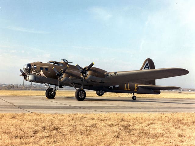  - Warbird