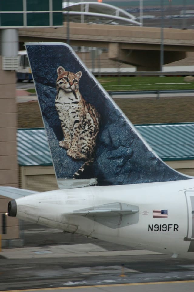 N919FR - Aircraft