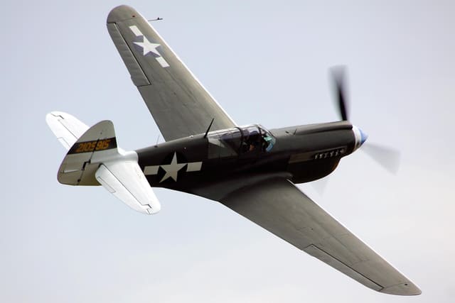  - Warbird