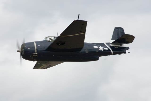 N81865 - Warbird