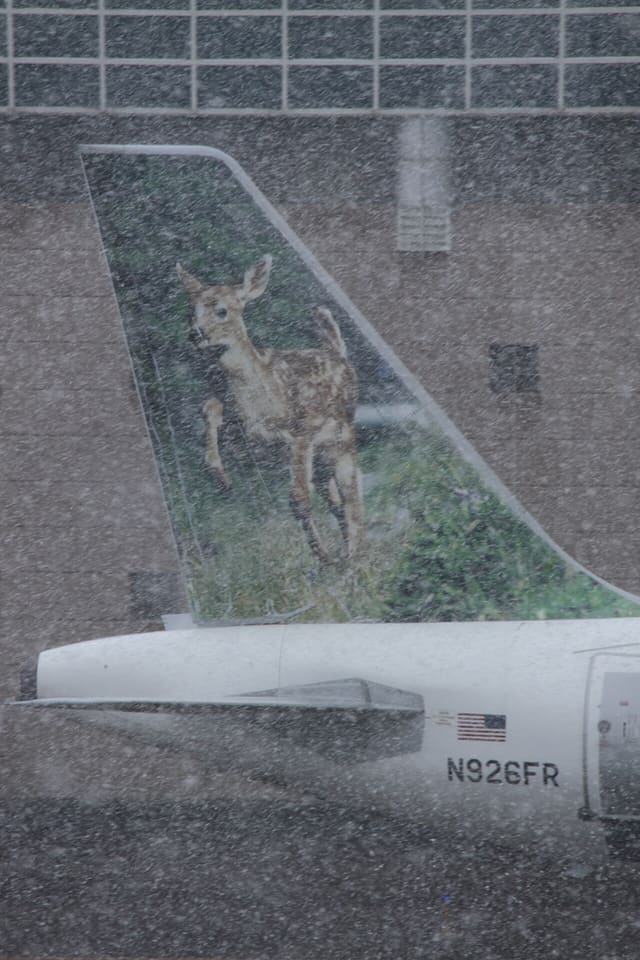 N926FR - Aircraft