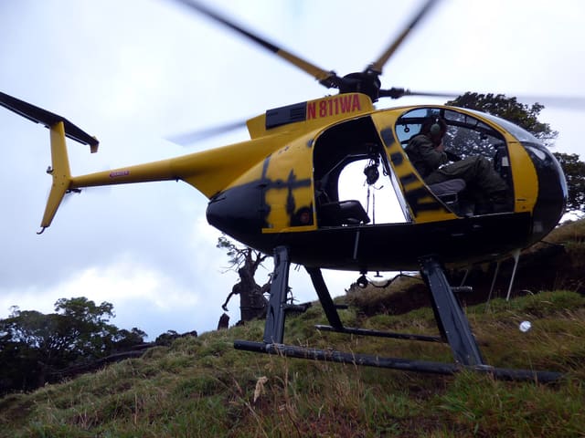 N811WA - Helicopter