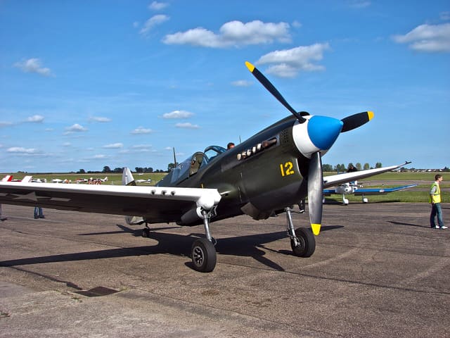  - Warbird