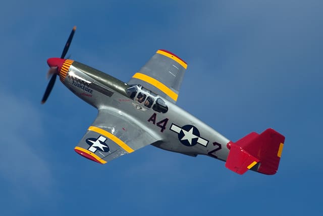 N61429 - Warbird