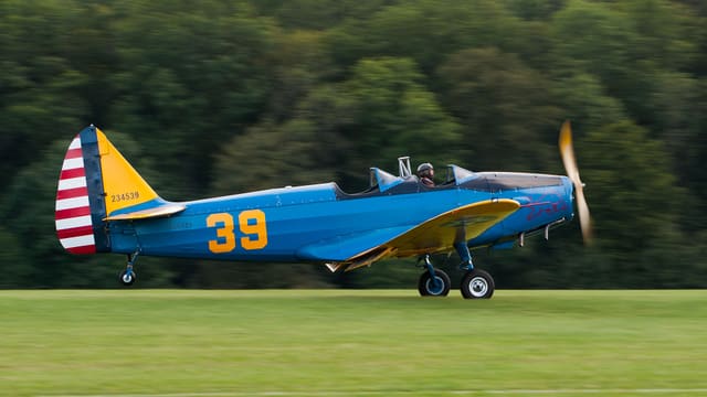 N50429 - Single-engine aircraft