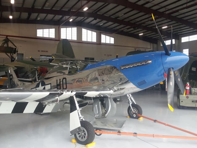  - Warbird